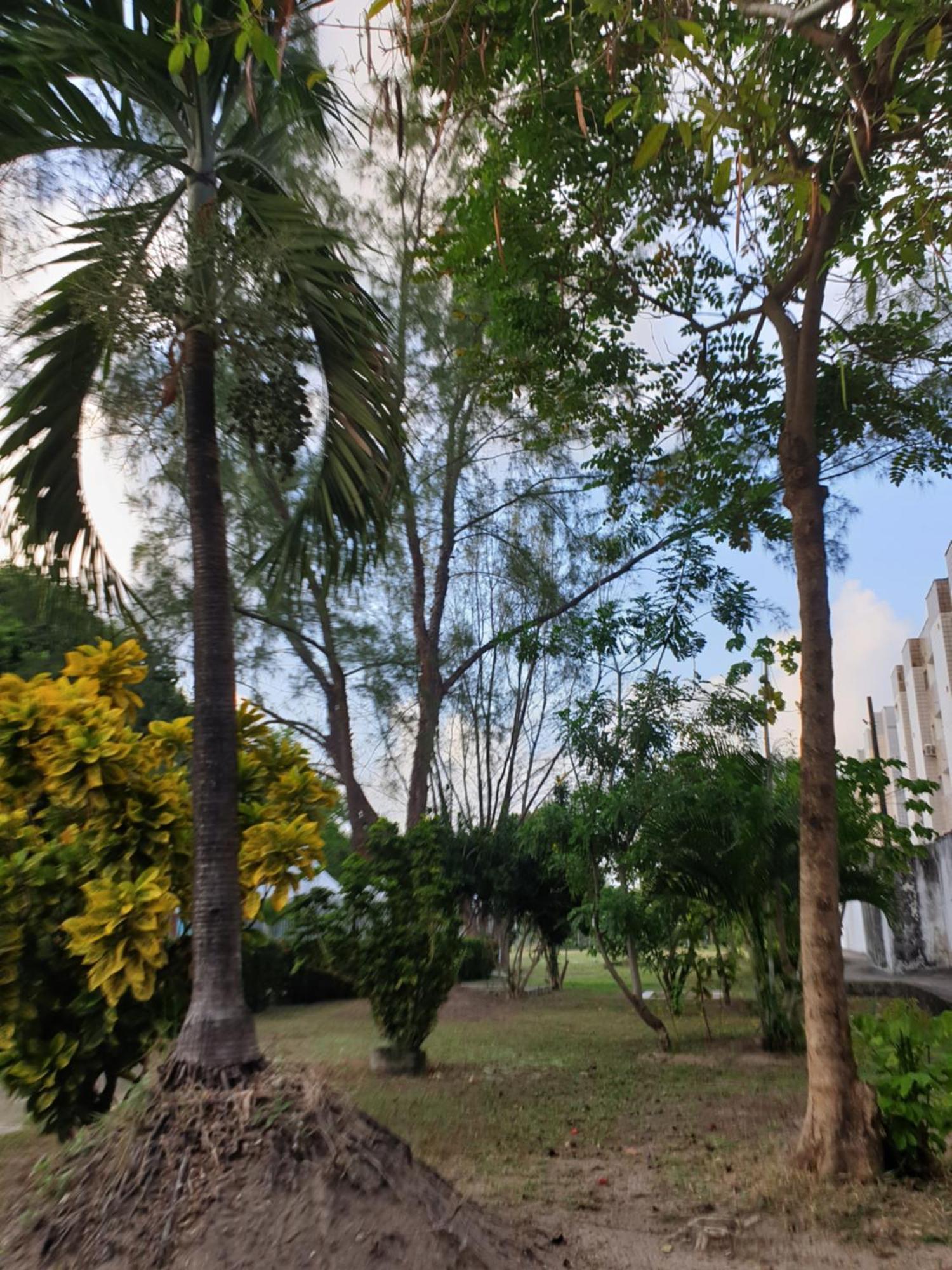 Casa De Ale *
